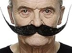 Guía de productos para cuidar bigotes y patillas largas: ¡Descubre los mejores productos de barbería!