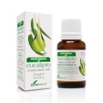 Guía completa del aceite esencial de eucalipto: propiedades y beneficios para el cuidado de la barba Guía completa del aceite esencial de eucalipto: propiedades y beneficios para el cuidado de la barba